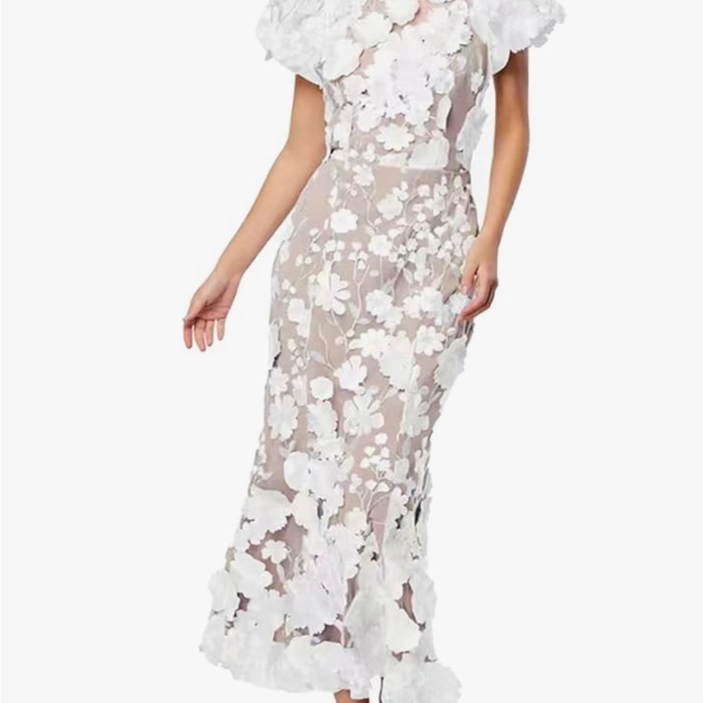 3D Floral Embroidered Dress - Picture 4 of 7